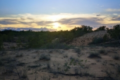 senegal-cosa-vedere-deserto-lompoul-IMG_20220902_185726