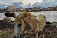 senegal-cosa-vedere-saint-louis-IMG_20220830_163139