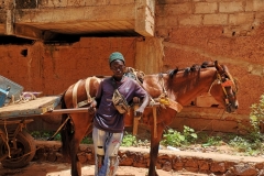 senegal-cosa-vedere-toubab-dialaw-IMG_20220823_121018-scaled