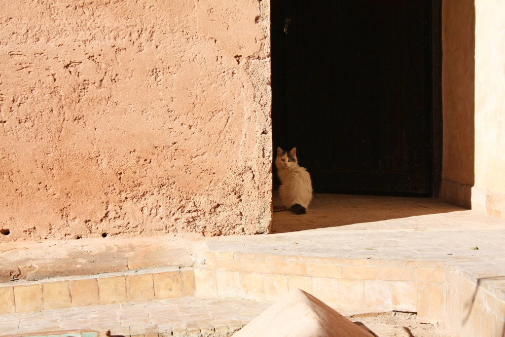 marerakech marocco cosa vedere e fare in 2 giorni