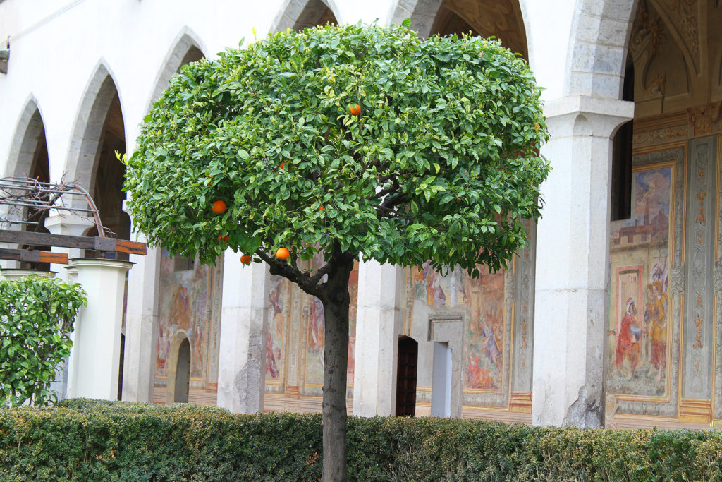 napoli cosa vedere in due giorni cosa mangiare dove andare cosa fare chiostro santa chiara (9)