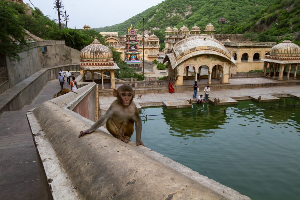 jaipur_india_cosa_vedere_e-fare_in_2_giorni