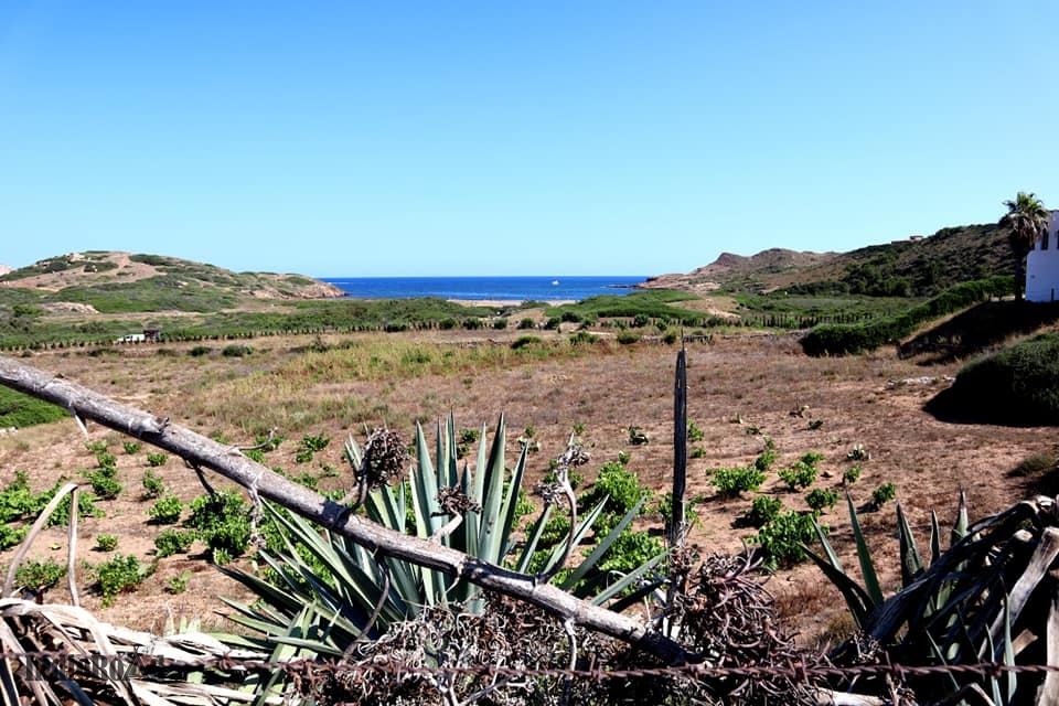 cosa vedere a minorca le spiagge più belle migliori baleari cala pregonda (1)