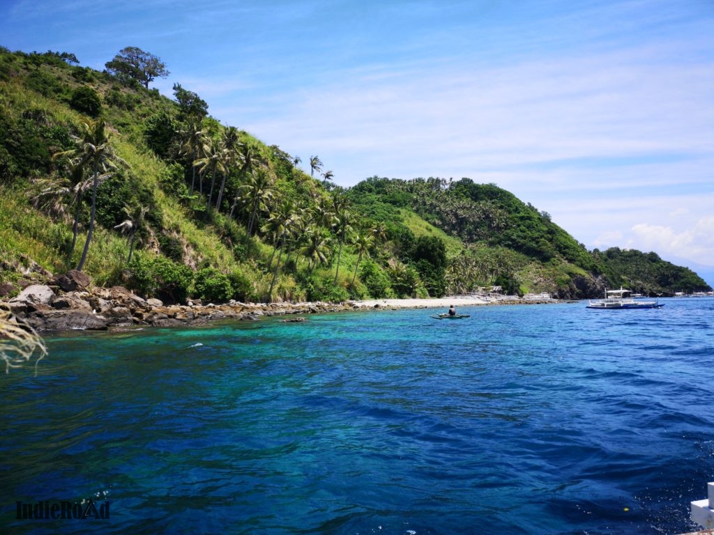 apo island filippine snorkeling tartarughe cosa vedere dove dormire (8)