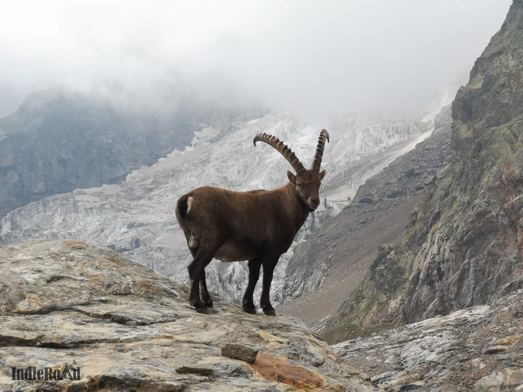 capanna resegotti monte rosa alagna valsesia bivacco gpx trekking (2)