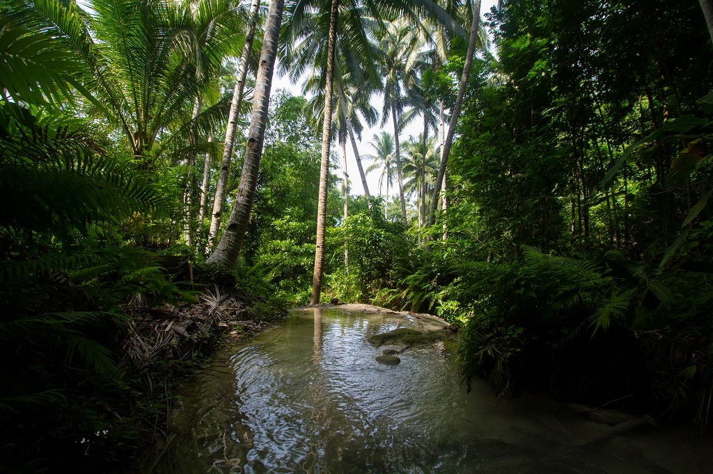 cosa vedere a siquijor filippine lugnason falls (3)