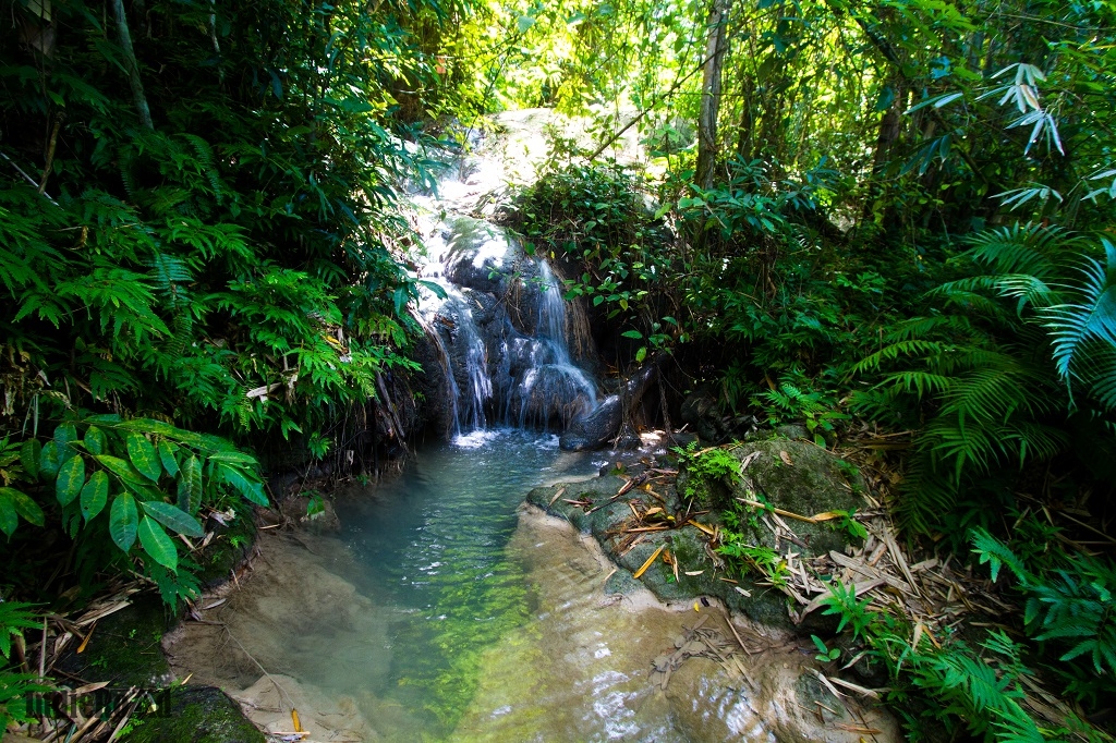 cosa vedere a siquijor filippine lugnason falls (4)