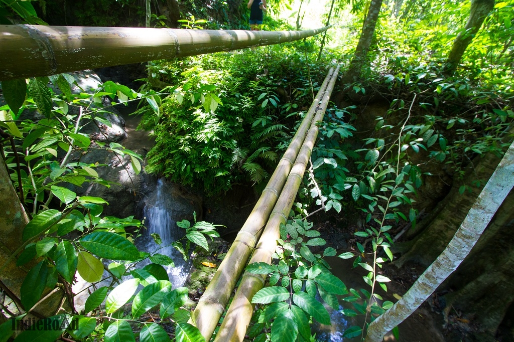 cosa vedere a siquijor filippine lugnason falls (4)