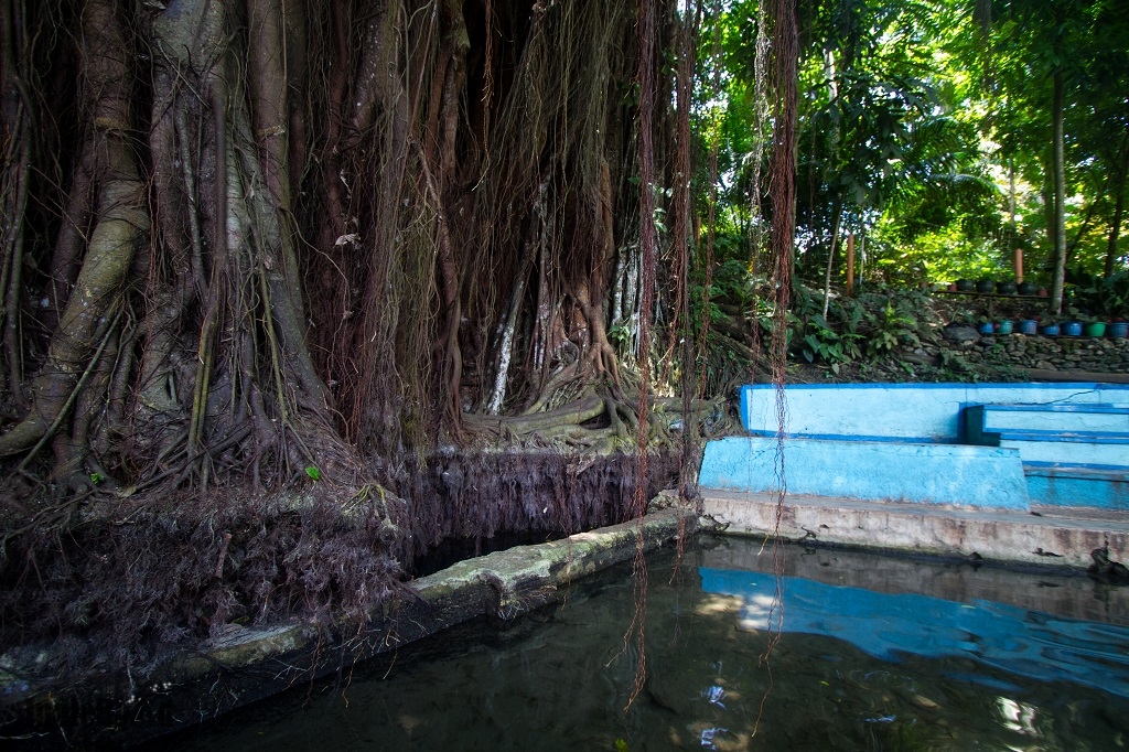 cosa vedere a siquijor filippine old balete tree (3)